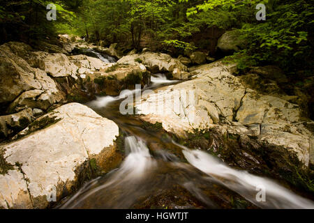 Ein kleiner Nebenfluss des Ortsverbandes westlich des Flusses Westfield in Chester, Massachuetts. Keystone Arch Bridge Trail. Stockfoto