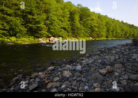 Niederlassung West des Flusses Westfield in Chesterfield, Massachusetts.  Unter Chesterfield Schlucht. Stockfoto