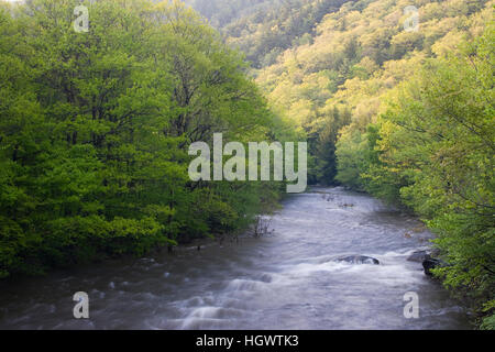 Niederlassung West des Westfield River, Chester, Massachusetts.  Frühling. Stockfoto