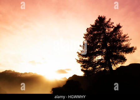 Berg-Sonnenuntergang mit Baum Silhouette verträumte Stil Stockfoto