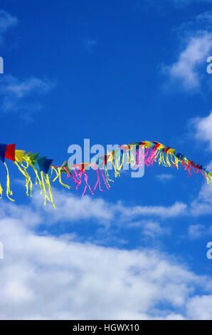 Viele Drachen fliegen auf eine einzelne Zeichenfolge Stockfoto