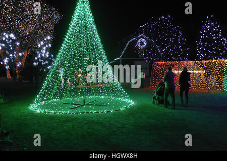 Weihnachten wird am Hudson Gärten, Littleton, CO Stockfoto