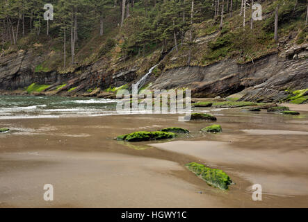 OR02316-00... OREGON - Blumenthal Wasserfälle stürzen den steilen Hang hinunter zum Short Sands Beach im Oswald West State Park. Stockfoto