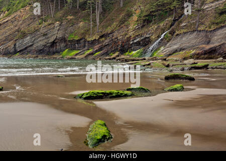 OR02317-00... OREGON - Blumenthal Wasserfälle stürzen den steilen Hang hinunter zum Short Sands Beach im Oswald West State Park. Stockfoto