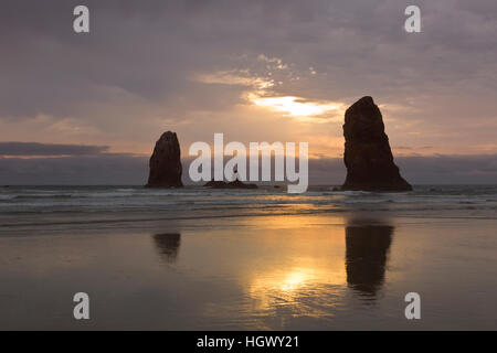 OR02329-00... OREGON - Seastacks bei Sonnenuntergang von Canon Strand an der Küste von Oregon. Stockfoto