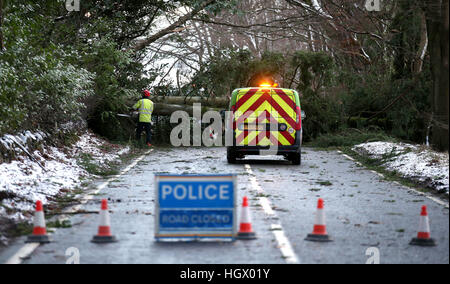 Ingenieure aus SSE deutlich umgestürzte Bäume von einer Straße in der Nähe von Yetts O'Muckhart, östlich von Stirling, nachdem das Met Office in England, Schottland, Wales und Nordirland für Kombinationen von starkem Wind, Schnee und Eis Unwetterwarnungen herausgegeben. Stockfoto