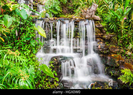 Close-up zu kleinen Wasserfall [Langzeitbelichtung, Soft-Fokus] Stockfoto