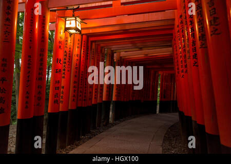 Laterne beleuchtet die Namen eingraviert auf der Torii des Fushimi Inari-Taisha, Fushimi-Ku, Kyoto, Japan. Stockfoto