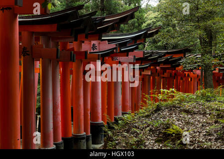 Fushimi Inari-Taisha, Fushimi-Ku, Kyoto, Japan. Stockfoto