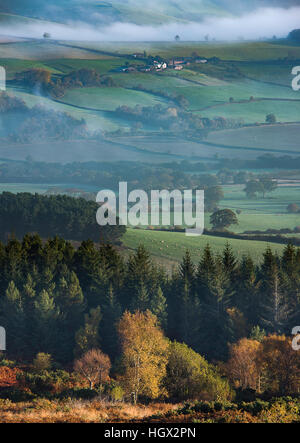 Herbstfärbung nr Webbers Post mit Nebel hängt über den Holnicote Estate, Exmoor National Park, Somerset, England, UK Stockfoto