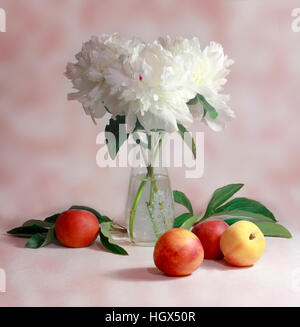 Weißen Pfingstrosen im klaren Vase und Pfirsiche Stillleben Fotografie Stockfoto