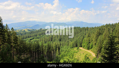 Panorama von Bergen und Wäldern Stockfoto