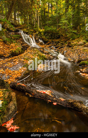 Eines der vielen wunderschönen Wasserfällen in Bracebridge, Ontario, Kanada. Aufgenommen im Herbst fallen. Stockfoto