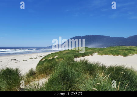 Grass Abdeckungen Dünen in dramatischen Seelandschaft des pazifischen Ozeanstrand im Nehalem Bay State Park, Nehalem, Oregon in der Nähe von Bild perfekt Manzanita. Stockfoto