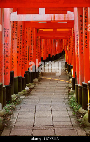 Die Tunel Torii am Fushimi Inari Grand Shrine Stockfoto