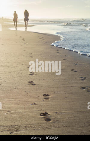 Spaziergang am Strand in der Nähe von Albufeira, Atlantik, Praia da Falesia, Albufeira, Algarve, Portugal Stockfoto