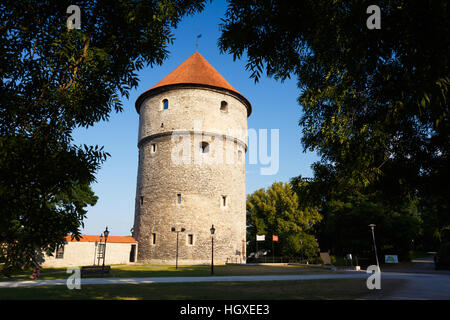 Tallinn, Estland. Mittelalterlichen Turm Kiek-in-de-Kok im Park auf dem Hügel Domberg Stockfoto