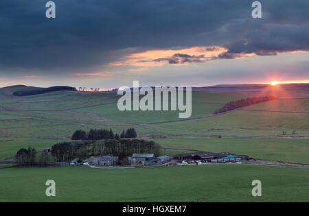 Der Hadrianswall auf Cawfield Felsen, Blick von Nordwesten auf Sonnenuntergang Stockfoto