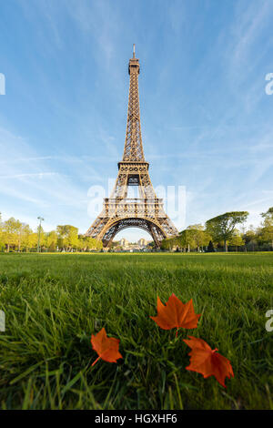 Sonnigen Morgen in Paris und Eiffelturm mit Ahornblatt in Paris, Frankreich. Stockfoto