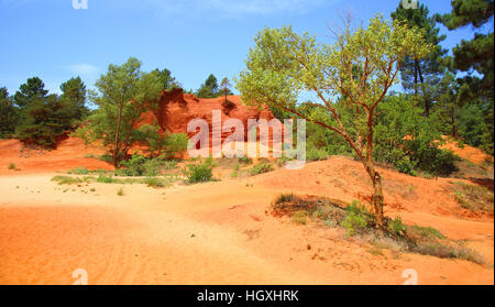 Ockerfarbenen Klippen in Rustrel in Rustrel, Colorado Provencal, Provence, Frankreich Stockfoto