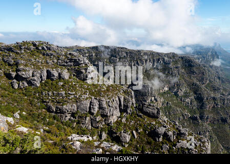 Fynbos umfasst die terrassierten Hänge und Felsen ein Küstengebirge. Stockfoto