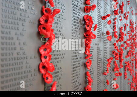 Mohn, eingefügt zwischen Bronzetafeln der Roll Of Honour Inserat Soldaten und Frauen starben in Konflikten, Australien Stockfoto