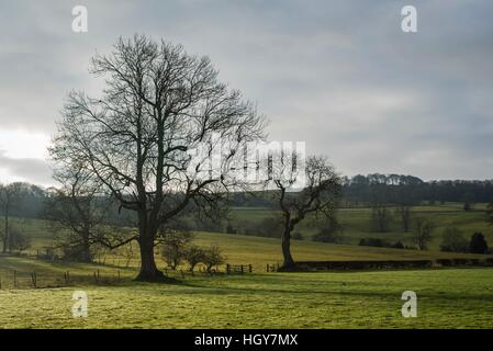 Foggy Tag auf Wales und trübe Sonne diese erstaunliche Landschaft Nationalparks Stockfoto