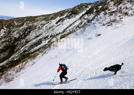 Telemark-Ski (mit Hund) "The Seven" in die große Schlucht auf die Headwall König Schlucht in New Hampshire White Mountains.  König-Schlucht ist ein Gletscher Stockfoto