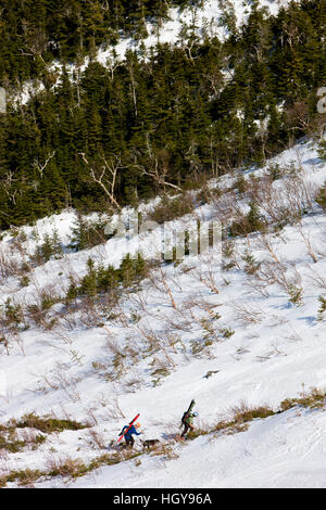 Telemark-Skifahrer steigen die Headwall König Schlucht in New Hampshire White Mountains.  König-Schlucht ist ein Gletscher Cirque auf der Nordseite des Mount Adam Stockfoto