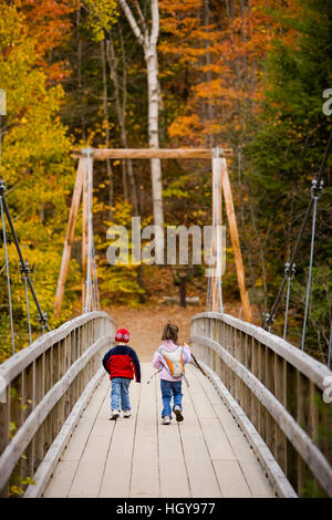 Ein junger Bruder und Schwester (4 und 6 Jahre alt) Wanderung auf einer Hängebrücke in New Hampshire White Mountain National Forest.  Lincoln Woods Trail. Stockfoto