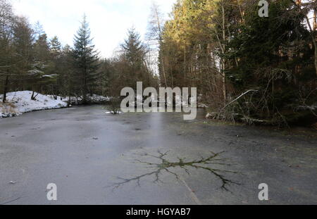 Zugefrorenen Teich im Templeton Woods im Winter Dundee Schottland Januar 2017 Stockfoto