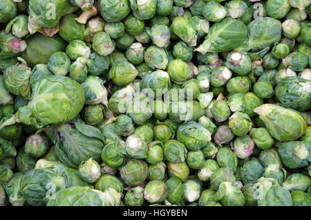 Bauernhof frischen losen Rosenkohl von oben gesehen Stockfoto