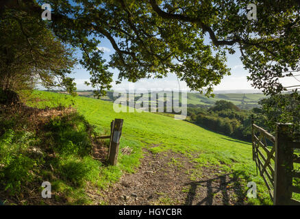 Markierte Route durch einen offenen Hof und Blick über die hügelige Landschaft von West Dorset zwischen Lyme Regis und Bridport, England Stockfoto