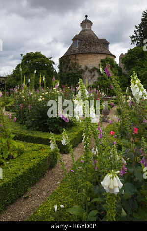 Foxhandschuhe und Rosen wachsen im Rosenparterre neben dem stilvollen Taubenholz aus dem 17. Jahrhundert, Rousham House, Oxfordshire, England Stockfoto