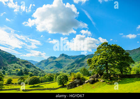 Langdale Pikes aus in der Nähe von Kopte Howe in Great Langdale im Lake District Stockfoto