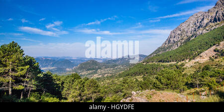 Spanien, Andalusien, Provinz Cadiz, Parque Natural Sierra de Grazalema, Mirador Puerto del Bojar, Anzeigen der Pinar und Endrinal Gebirge Stockfoto