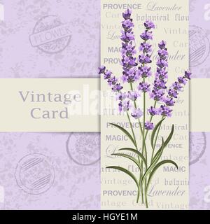 Lavendel Karte Mit Blumen Vintage Label Mit Lavendel Provence Violett Hintergrund Design Fur Health Care Produkte Naturkosmetik Beauty Shop Stock Vektorgrafik Alamy