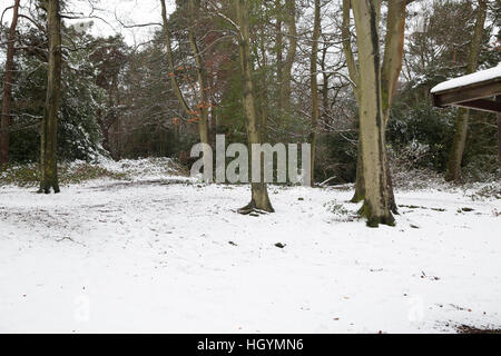 Biggin Hill, UK. 13. Januar 2017. Blauer Himmel über den Schnee in Biggn Hill Valley als TFL die folgende Nachricht: BIGGIN HILL Gegend: Routen 246 320 464 und R2 eingeschränkt, Biggin Hill Airport durch unsichere Straßenverhältnisse auf Lager Hill/Westerham Hill, Kent © Keith Larby/Alamy Live-Nachrichten Stockfoto