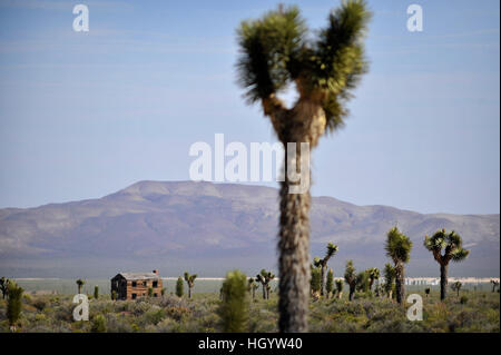 Quecksilber, Nevada, USA. 20. April 2016. Eines der verbleibenden Strukturen des '' Survival Town'' wird auf Mittwoch, 20. April 2016 in Area 1 auf der Nevada National Security Site gesehen. Das Gebäude, eine von vielen gegründet 1955, war es, testen Sie verschiedene Gebäudetypen Bau in einer nuklearen Explosion. © David Becker/ZUMA Draht/Alamy Live-Nachrichten Stockfoto