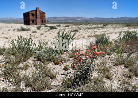 Quecksilber, Nevada, USA. 20. April 2016. Eines der verbleibenden Strukturen des '' Survival Town'' wird auf Mittwoch, 20. April 2016 in Area 1 auf der Nevada National Security Site gesehen. Das Gebäude, eine von vielen gegründet 1955, war es, testen Sie verschiedene Gebäudetypen Bau in einer nuklearen Explosion. © David Becker/ZUMA Draht/Alamy Live-Nachrichten Stockfoto