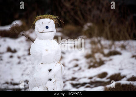 Brecon Beacons, UK. 14. Januar 2017. Schneemann gebaut in den Brecon Beacons Bergen heute Nachmittag in der Nähe von Storey Arme. Bildnachweis: Phil Rees/Alamy Live-Nachrichten Stockfoto