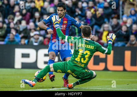 Barcelona, Katalonien, Spanien. 14. Januar 2017. FC Barcelona weiterleiten SUAREZ in Aktion während der LaLiga Spiel zwischen FC Barcelona und UD Las Palmas im Camp Nou Stadion in Barcelona Credit: Matthias Oesterle/ZUMA Draht/Alamy Live News Stockfoto