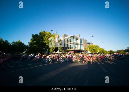 Adelaide, South Australia, Australien. 14. Januar 2017. Hauptfeld, Peoples Choice Classic 22 Runden, 50,6 km Rennen als warm up für die Tour Down Under, Australien am 15. Januar 2017 Rennen Credit: Gary Francis/ZUMA Draht/Alamy Live News Stockfoto