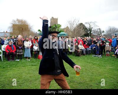 Vergnügt in Bridport Obstgarten in Dorset, UK, Menschen genießen die alte heidnische Tradition des rezitieren Beschwörungen, Fütterung und singen auf den Bäumen um eine gute Ernte Kredit zu fördern: Finnbarr Webster/Alamy Live News Stockfoto