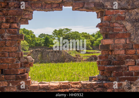 Blick durch das verwitterte verfallenden Fenster auf überwucherten Ruinen. Imperiale Zitadelle, Hue, Vietnam Stockfoto