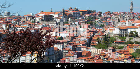 Porto, Portugal: die roten Dächer der alten Stadt mit Blick auf den Torre dos Clerigos, einem steinernen Turm im barocken Stil zwischen 1754 und 1763 gebaut Stockfoto