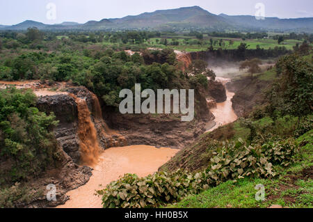 Tis Isat oder Blauer Nil Wasserfälle, Bahar Dar, Äthiopien, Afrika. Tis Isat, die Wasserfälle des blauen Nil. In der riesigen und wunderschönen Tana-See ist die Geburt Stockfoto