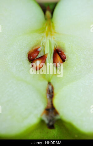 Nahaufnahme von grünem Apfel mit Samen Stockfoto