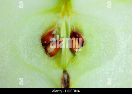 Nahaufnahme von grünem Apfel mit Samen Stockfoto