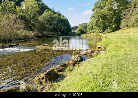 An einem hellen sonnigen Herbsttag fließt die flachen, klaren Fluß Lathkill über ein kleines Wehr zwischen bewaldeten Ufern in Lathkill Dale, Derbyshire, England. Stockfoto